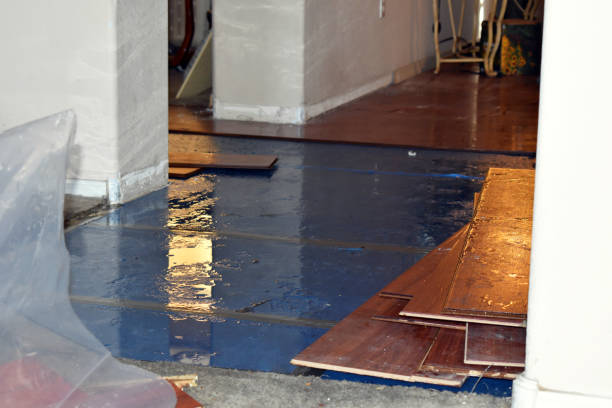 Professional Sewage Cleanup technician working in Groveton, NH